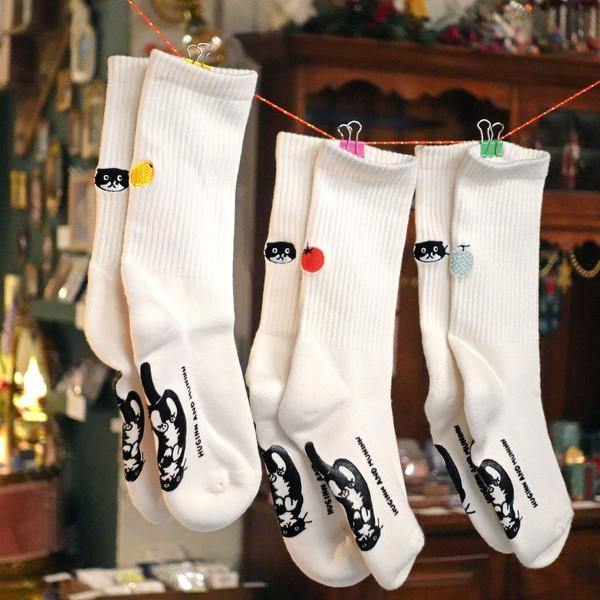 알록달록🌈 발걸음을 돋보이게 해 줄 'MO'양말🧦