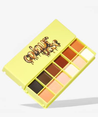 Colour Case Cosmetic Paint Palette The Essentials