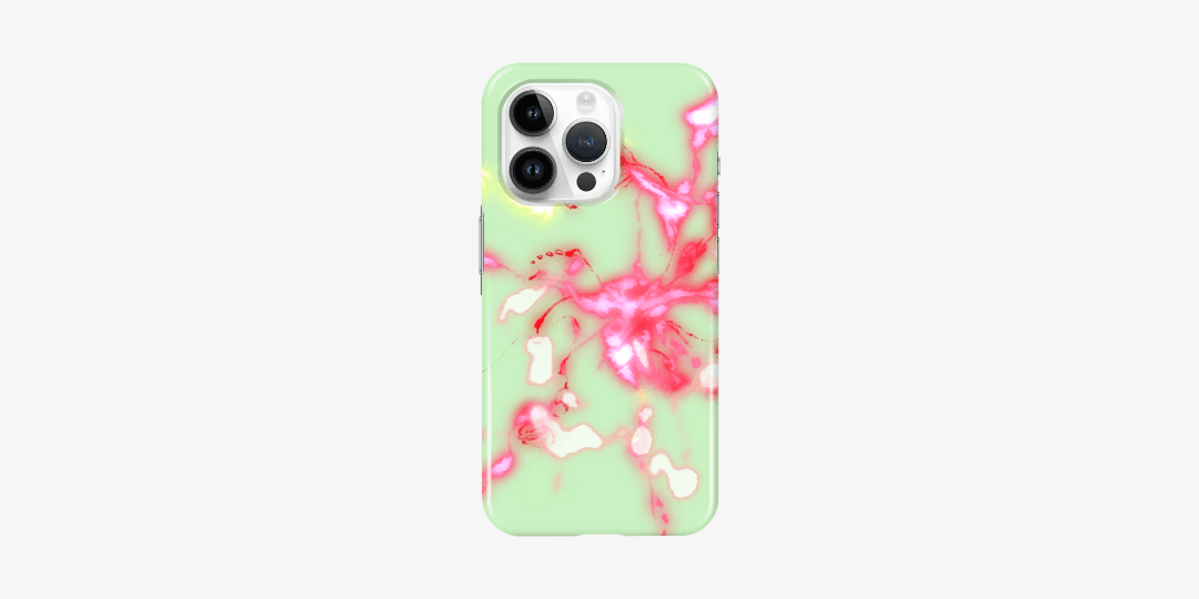 낙화