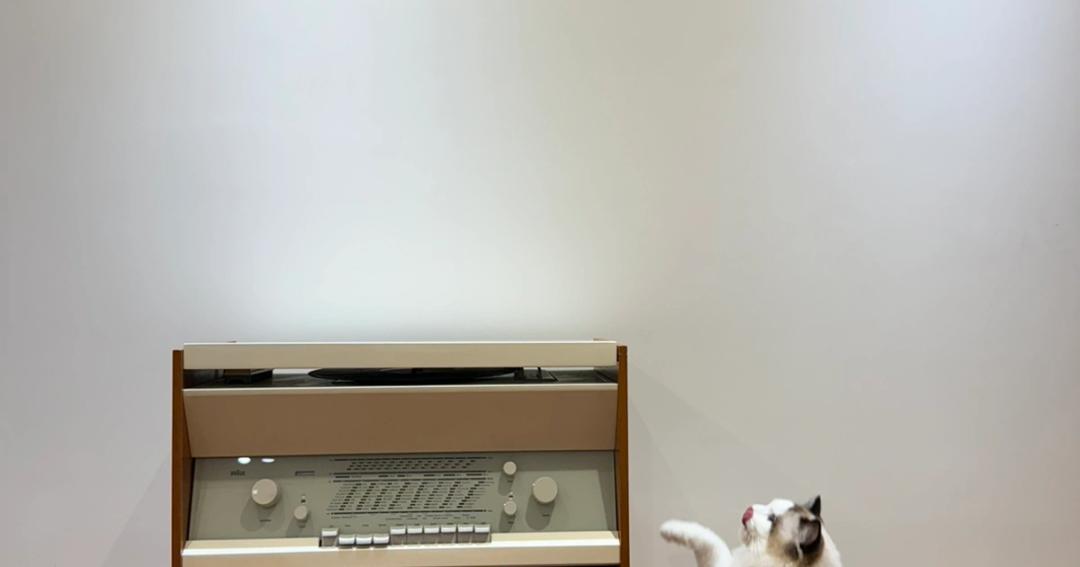 브라운 디터람스 아틀리에 1-81