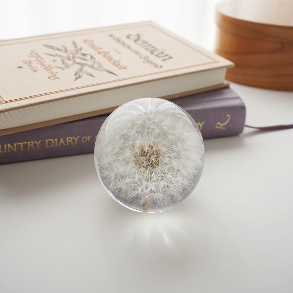 민들레문진 단델리온 플라워 오브제 페이퍼웨이트 생화 워터볼 촬영소품 집들이 선물