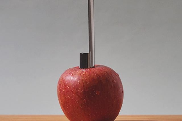 애플 코러(Apple corer)
