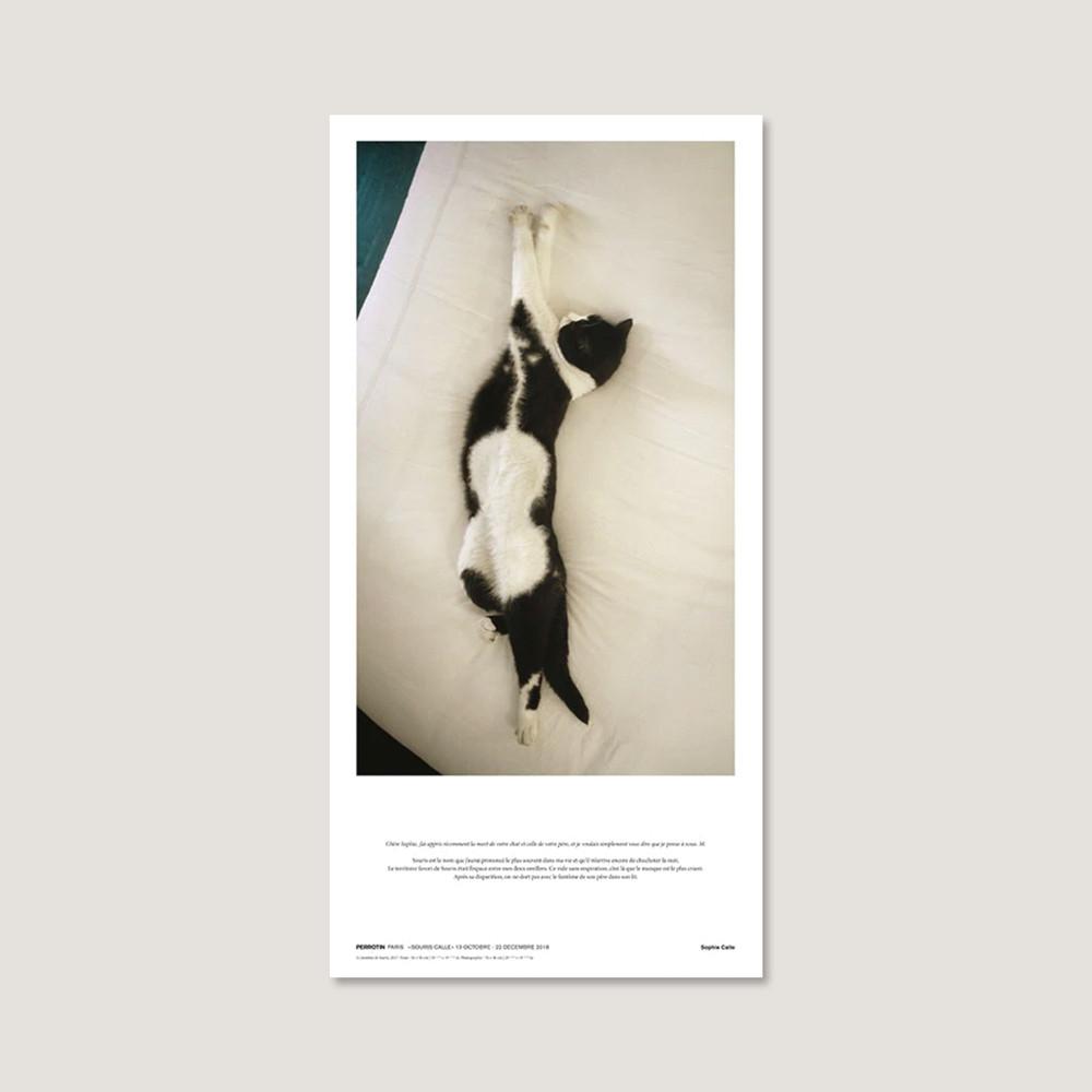 [소피 칼] Souris Calle (액자 포함) 50 x 100 cm