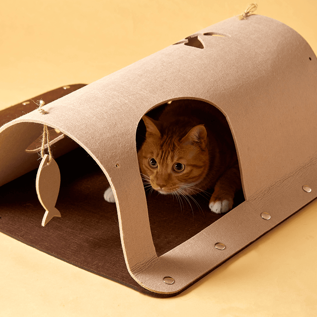 고양이섬 잡아라 숨숨터널