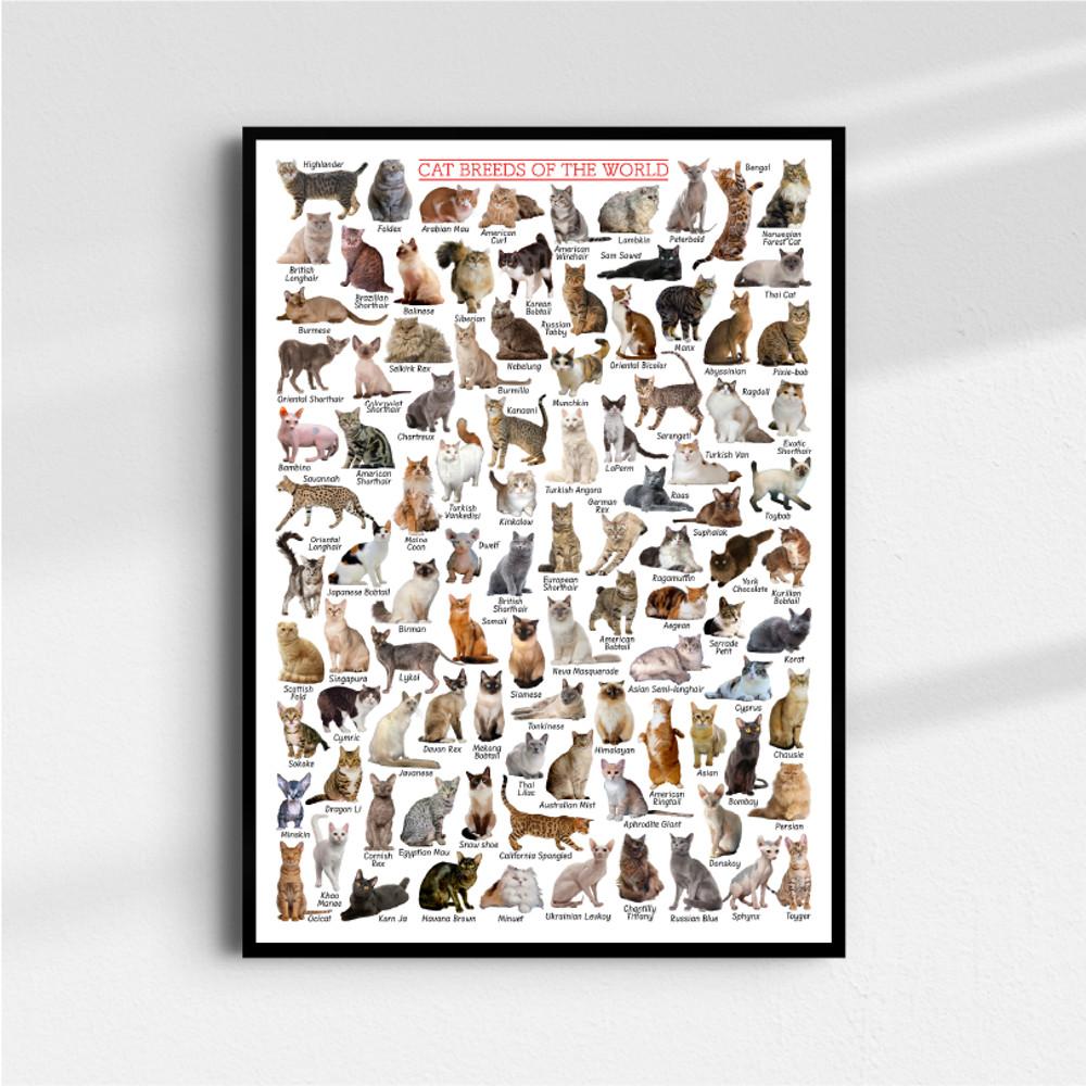 [아트워크룸] Cats of the World, Tamami  (액자 포함)