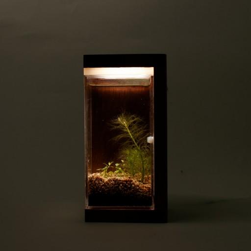 키우기 쉬운 식물 원목 수초 무드등 (WeedLamp)