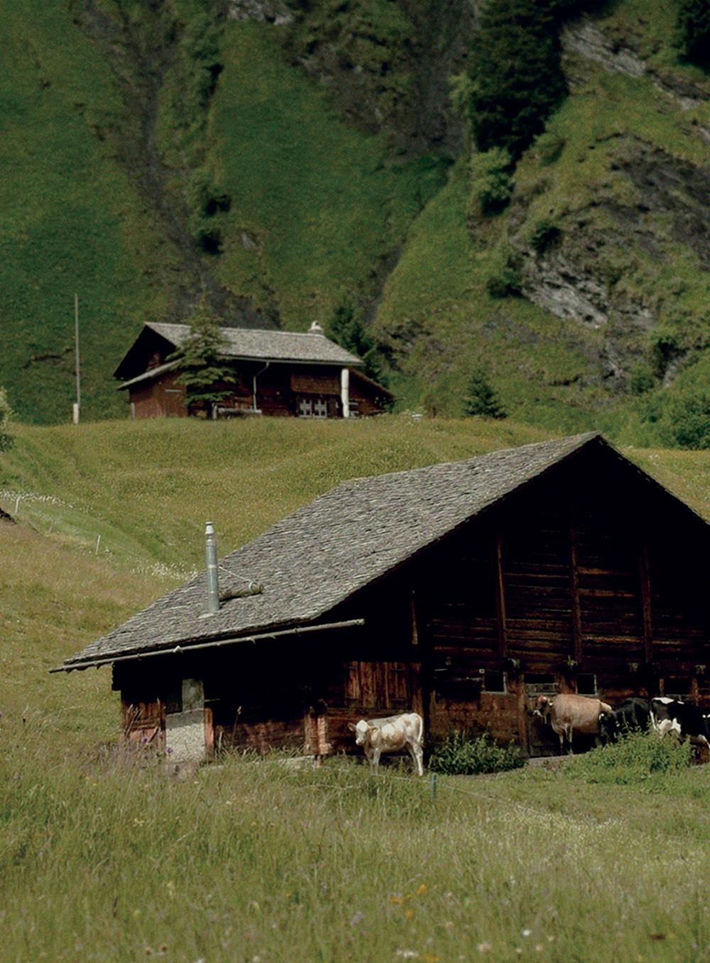 #1. 비 오는 날의 스위스