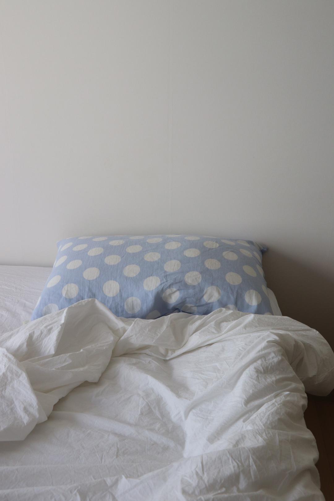 Linen pillow cover(B/D_2)