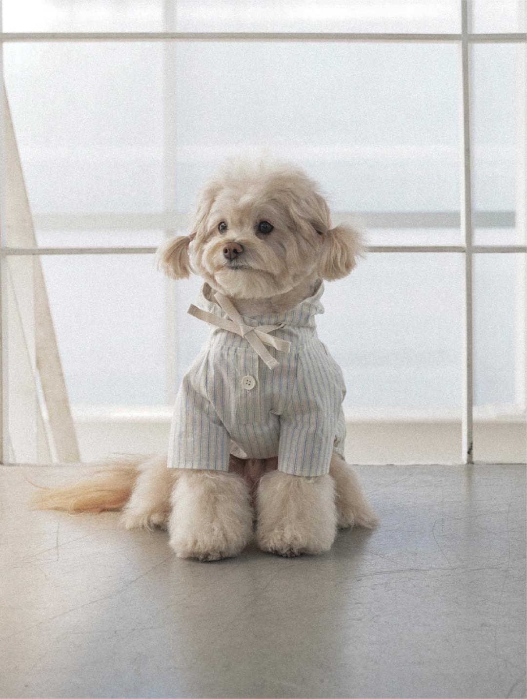 Striped Cotton Anorak (Ivory)