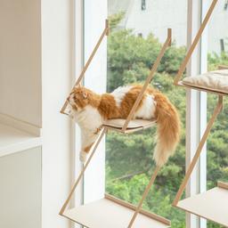 애니멀리프 / 접을 수 있는 창문 캣타워 / 먼치킨 고양이 원목 미니 소형 캣워크 캣워커