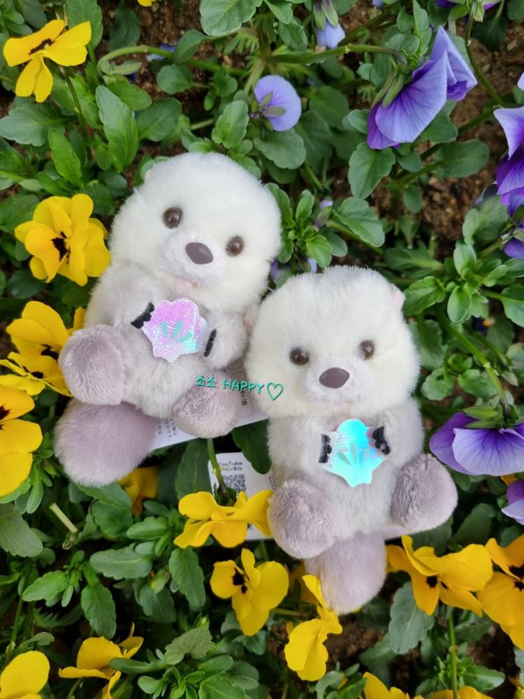 [소소HAPPY] 어뮤즈 오로라 아기 해달 수달 키링 인형 미니 라이 동물 키링 인형