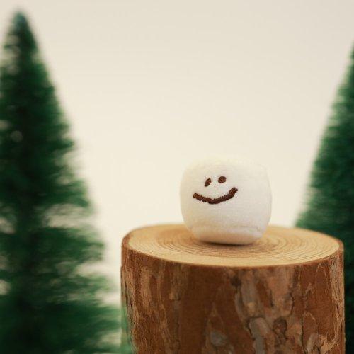 Tiny Marsh Keyring