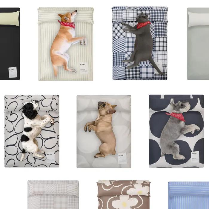 [29CM 단독] (10col) 페어링 펫 쿠션 컬렉션 (강아지/고양이/알러지케어)