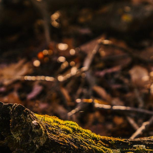 우고 천연 인센스 스틱 WOOD IN THE BLANKET