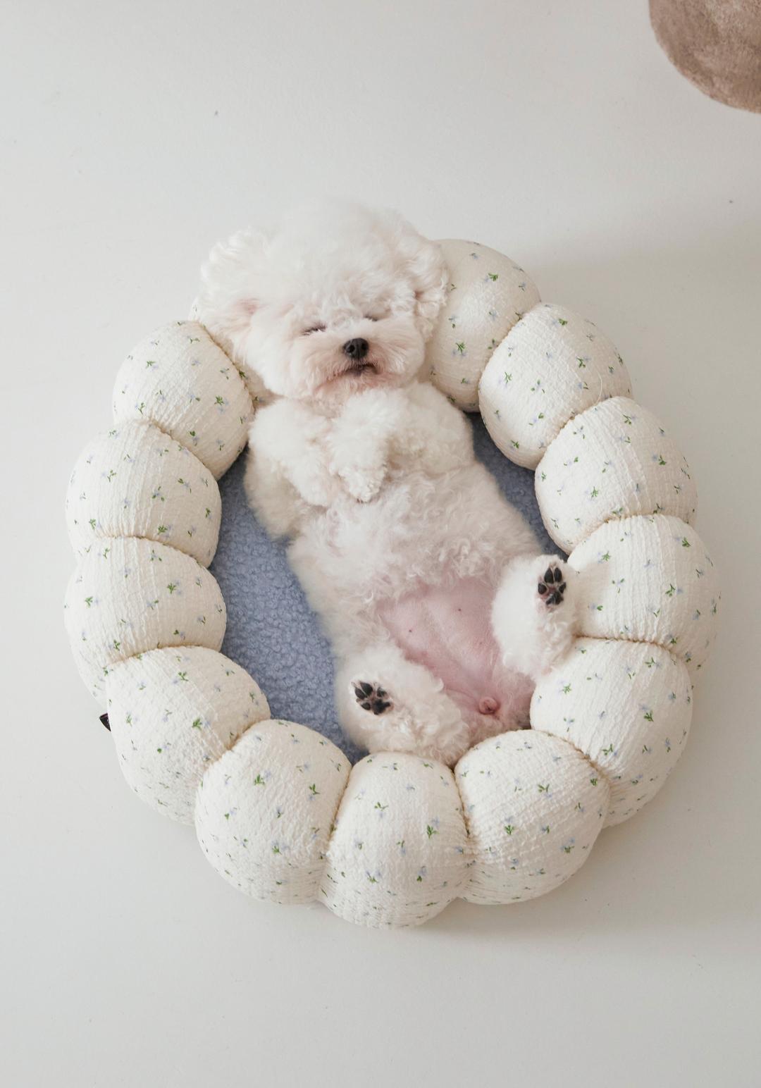 [azalea] mellow canele / sky