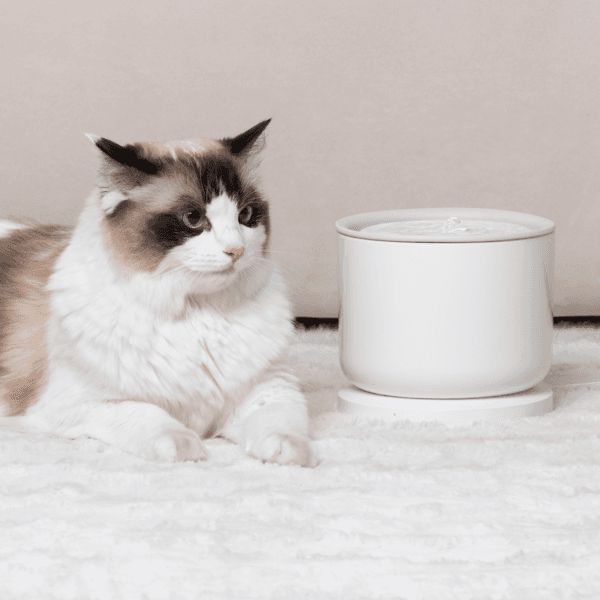 [NEW] 스마트 정수기 웰리