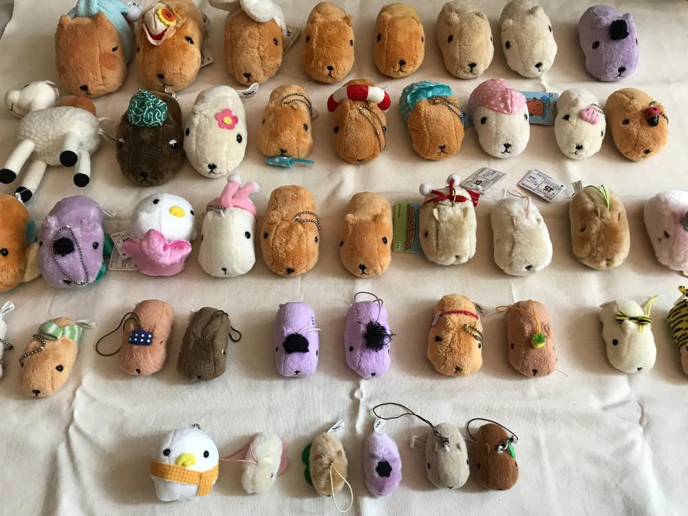 카피바라상 인형 모음
