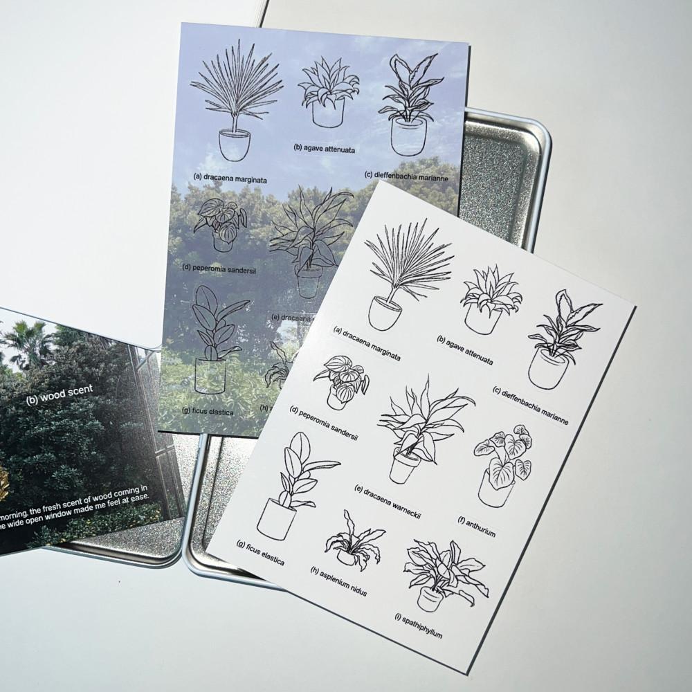 (스티커) plants drawing sticker 식물 드로잉 스티커