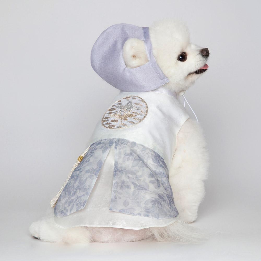 메종드독 해솔 쾌자 2XL 강아지 한복