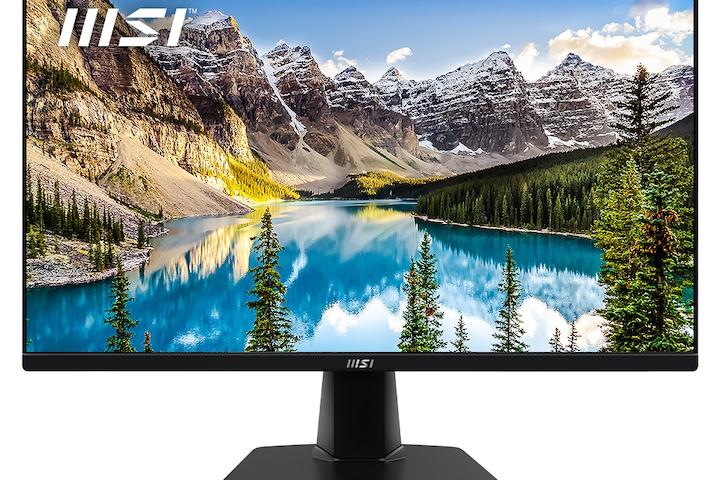 MP251 IPS 100 아이에르고 모니터 3PC2