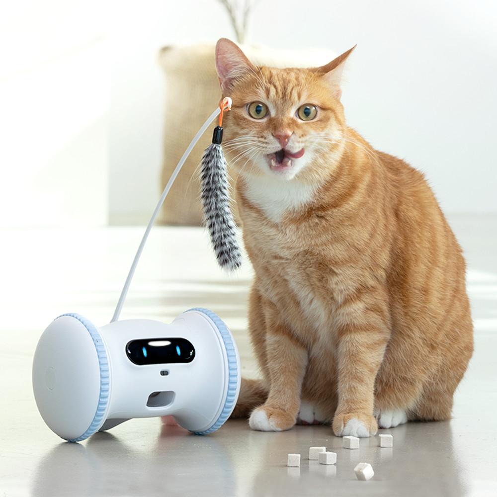 고양이 움직이는 자동장난감 피트니스 PRO