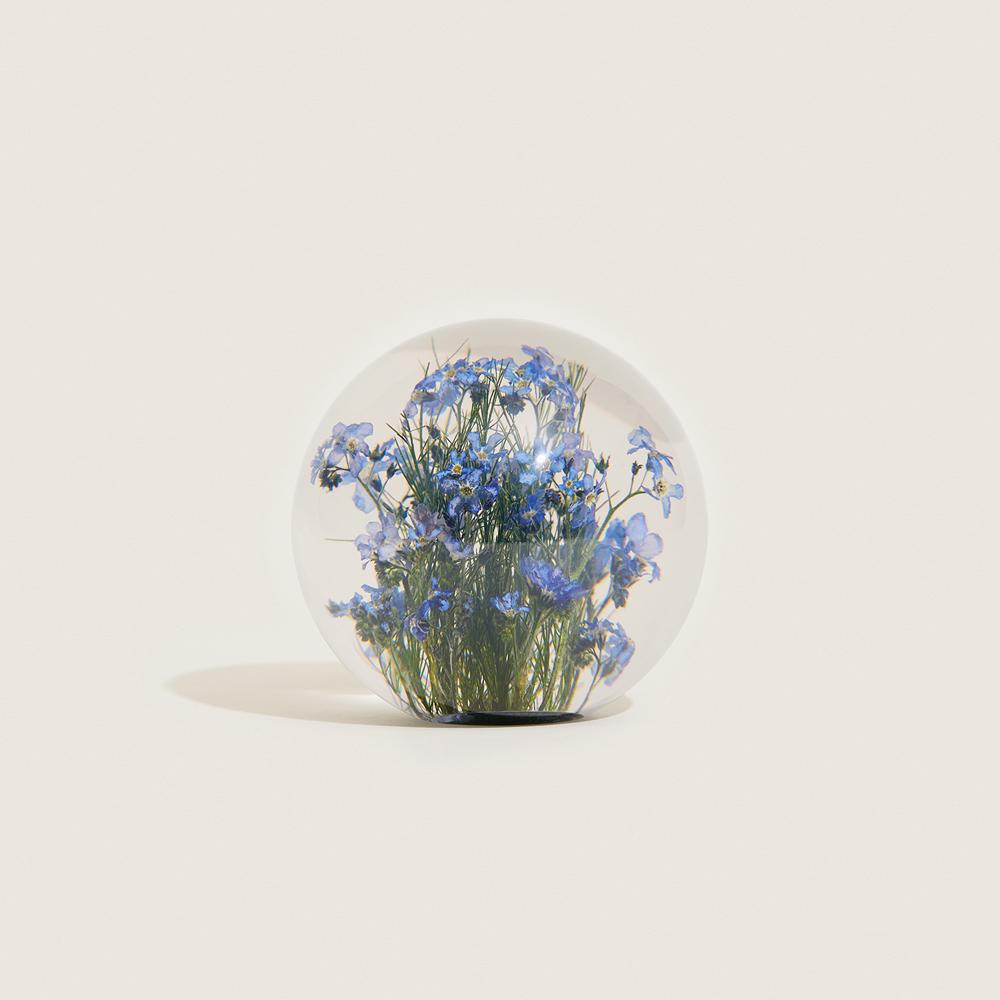 [Hafod Grange] Forget me not Paperweight - Small