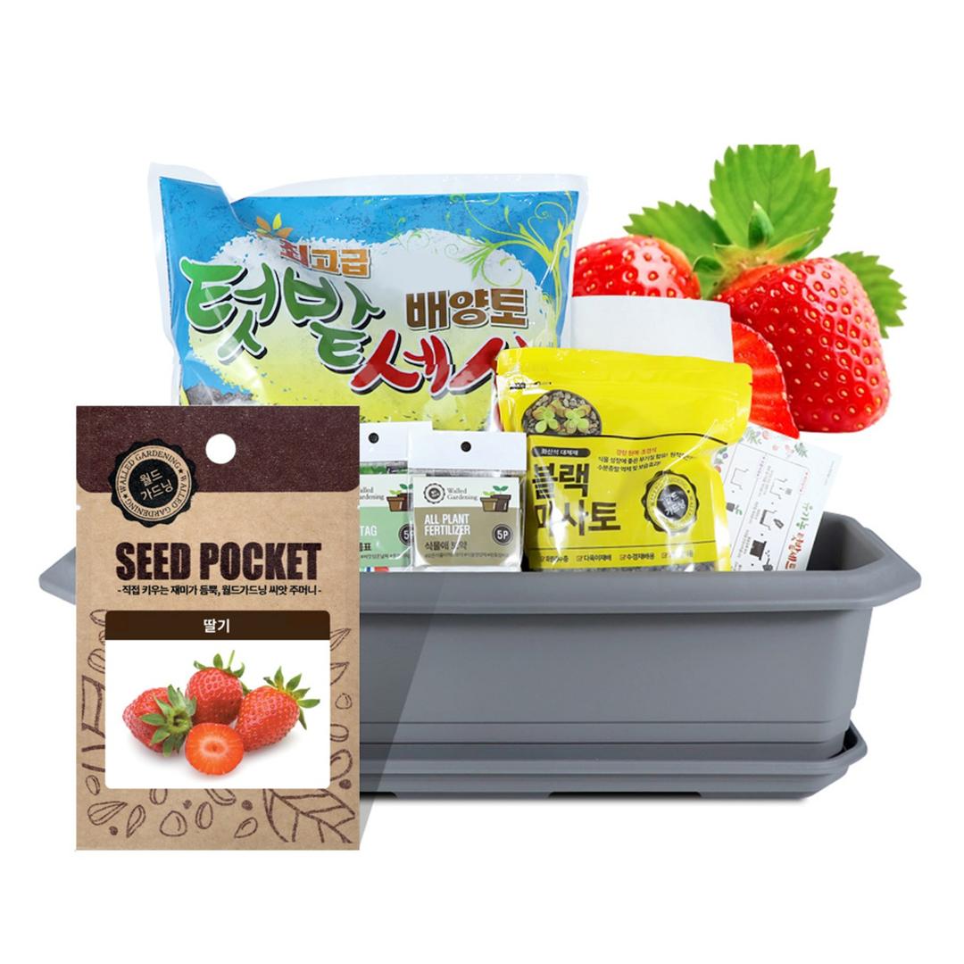 월드가드닝 텃밭가꾸기세트 + 식물 이름표 랜덤발송 - 텃밭세트 | 쿠팡
