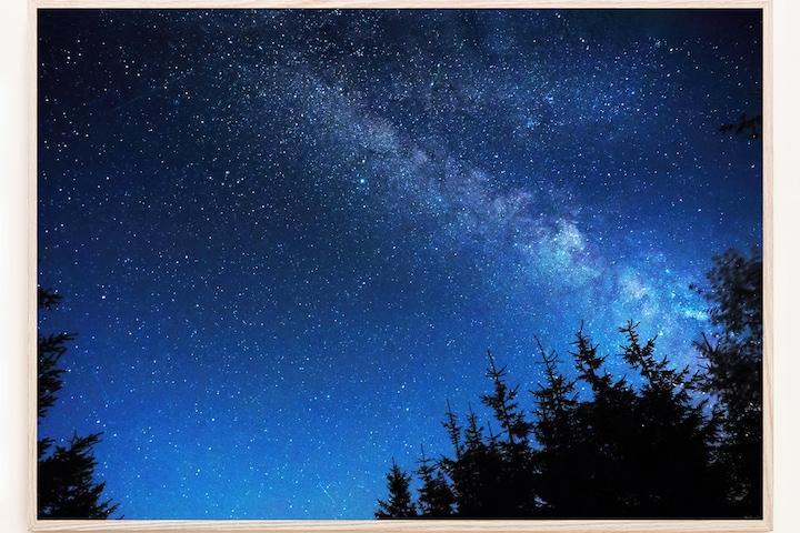 숲에서 올려다 본 은하수 밤하늘의 별 포스터