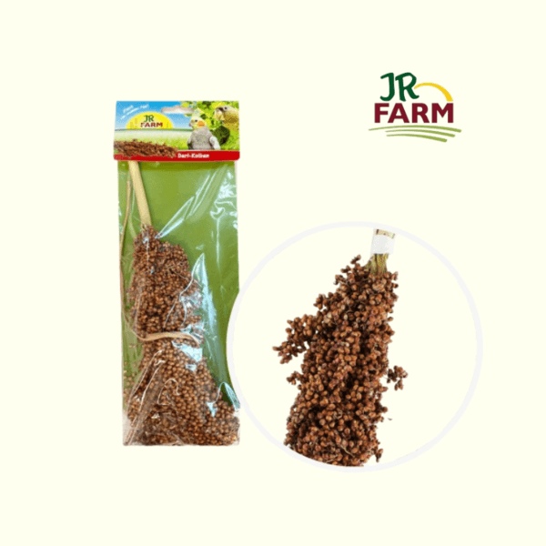 [JR팜] 수수 줄기 100g