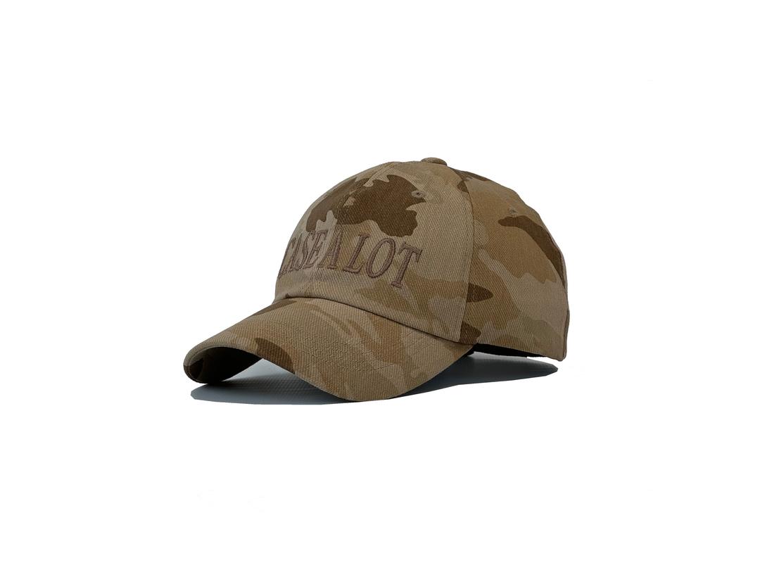 Logo camo ball cap - desert