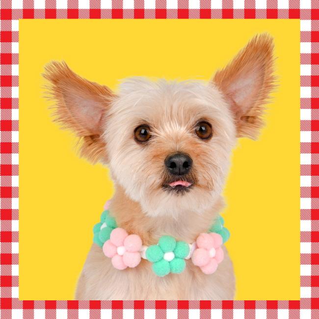 올치 팜팜이 꽃 목걸이 (OAVD-NL6368)