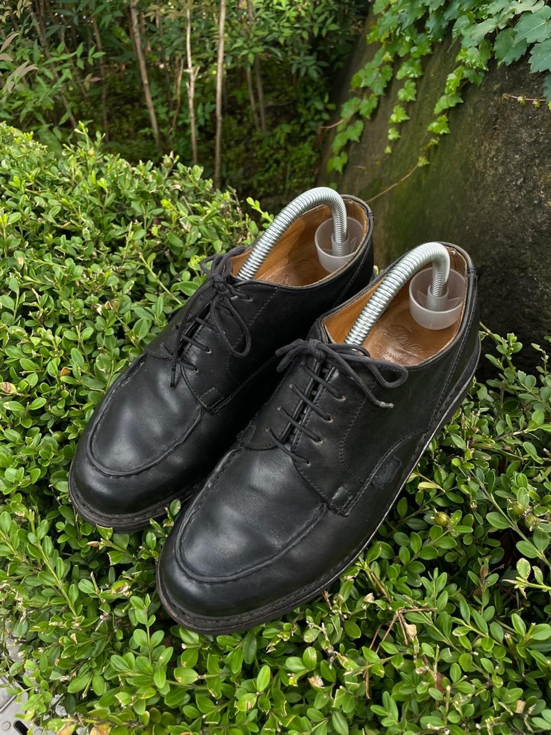 파라부트 샴보드  | 후루츠패밀리