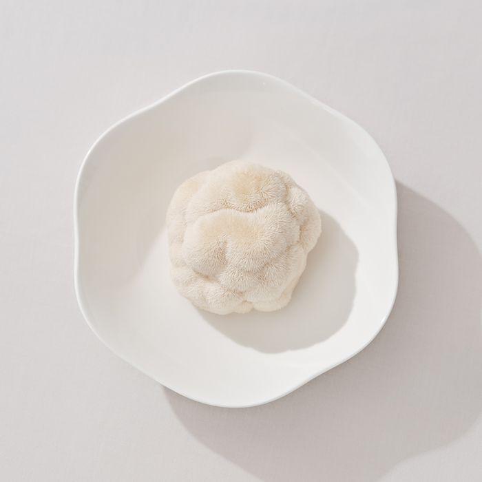 다온 굽부 (4size)