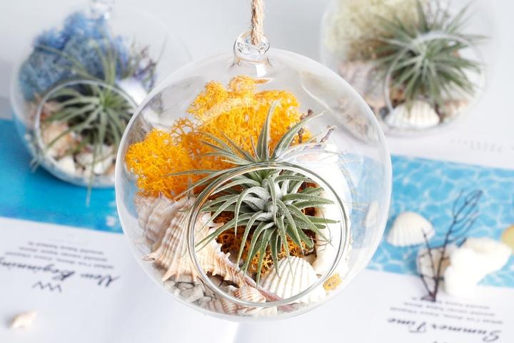 틸란드시아 행잉볼 테라리움 DIY_15colors