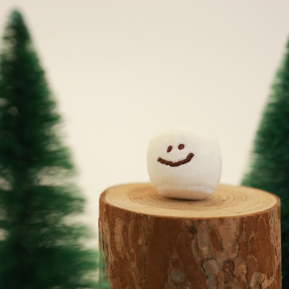 Tiny Marsh Keyring