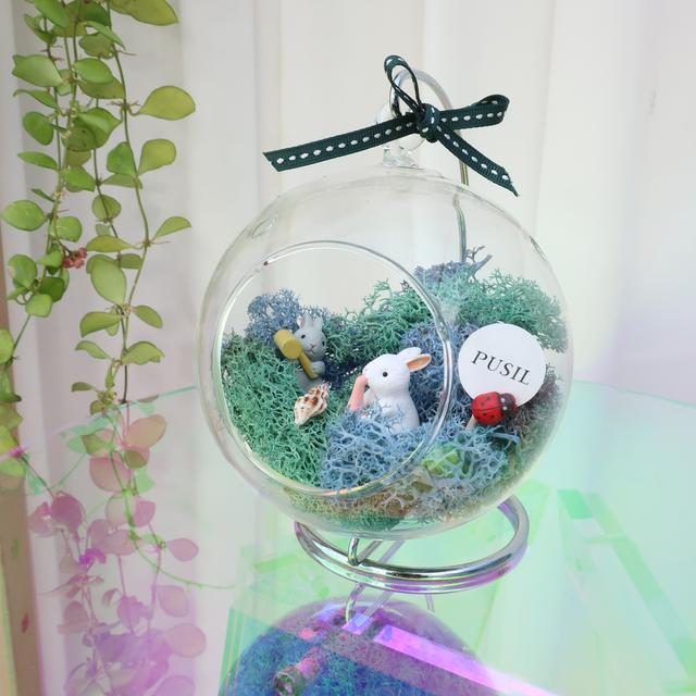 스칸디아모스 유리볼 만들기 DIY 키트 키우기 실내공기정화 액자 화분 테라리움 꾸미기