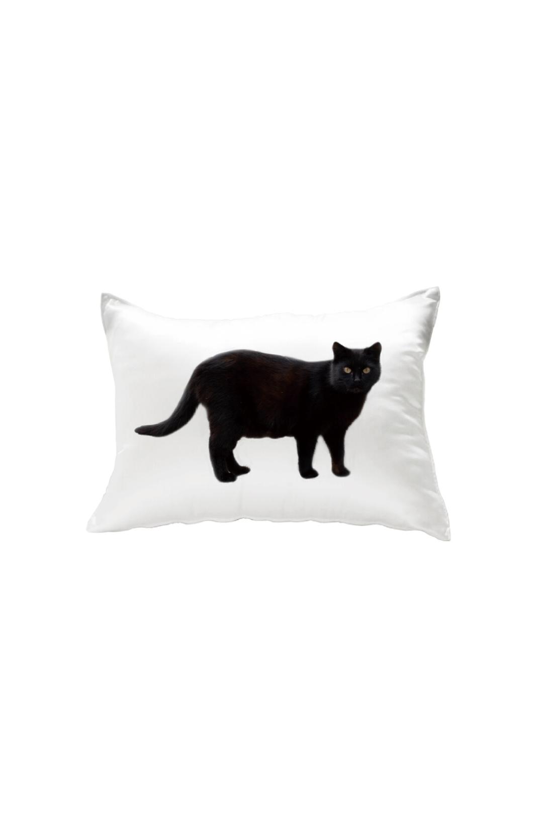 black cat pillow cover