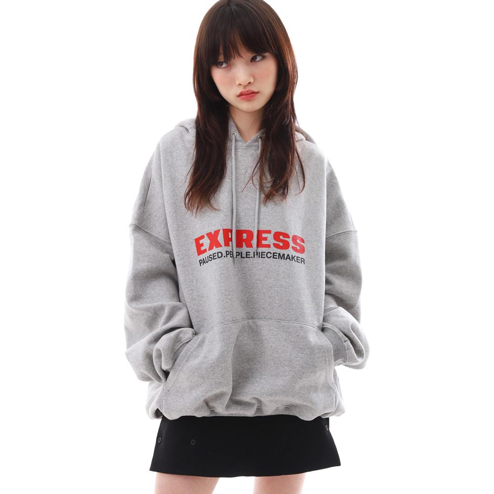 EXPRESS HOODED SWEATSHIRTS (GREY)