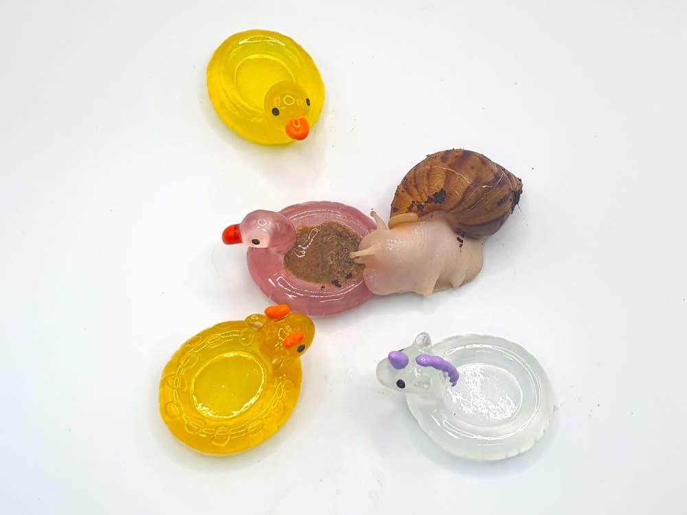 아기 달팽이, 동양, 토종 달팽이 작은 야광 동물튜브 먹이그릇