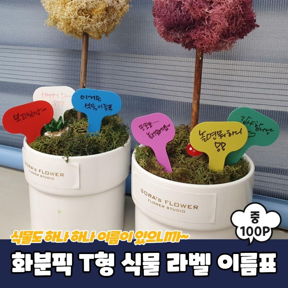 PARABU-632-A-화분픽 T형 식물 라벨 이름표 중 100P 식물이름표 꽃팻말 화분네임택 화분팻말 식물라벨