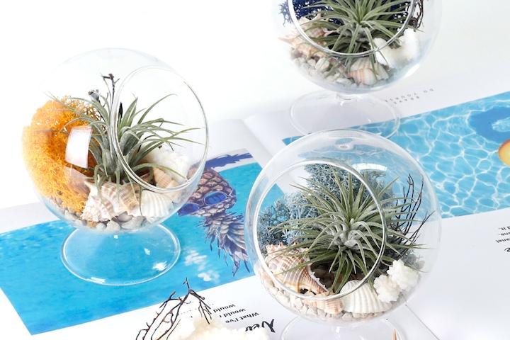 틸란드시아 스탠드볼 테라리움 DIY_15colors