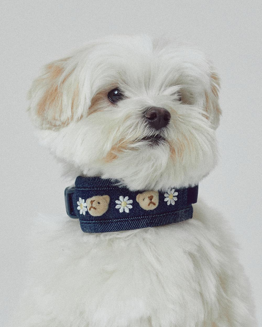 Denny bear cushioning collar (Blue)