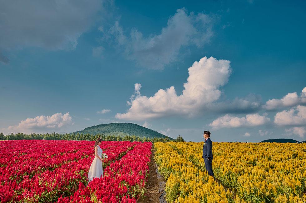 제주의 환상적인 풍경속의 나를 남겨보세요. (1시간) [제주스냅/동쪽]