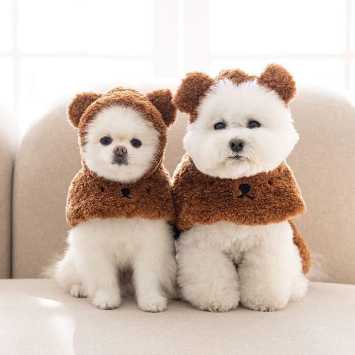 보리스 판초