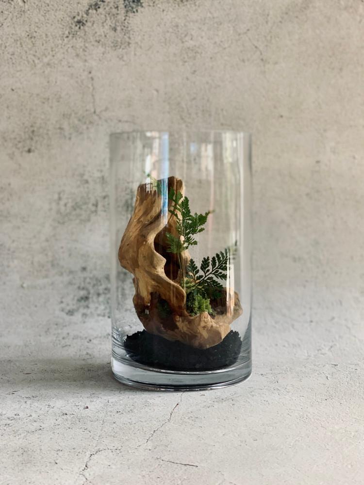 팬곤 유목 이끼 테라리움 공기정화 반려 식물 DIY 만들기 키트 인테리어 화분