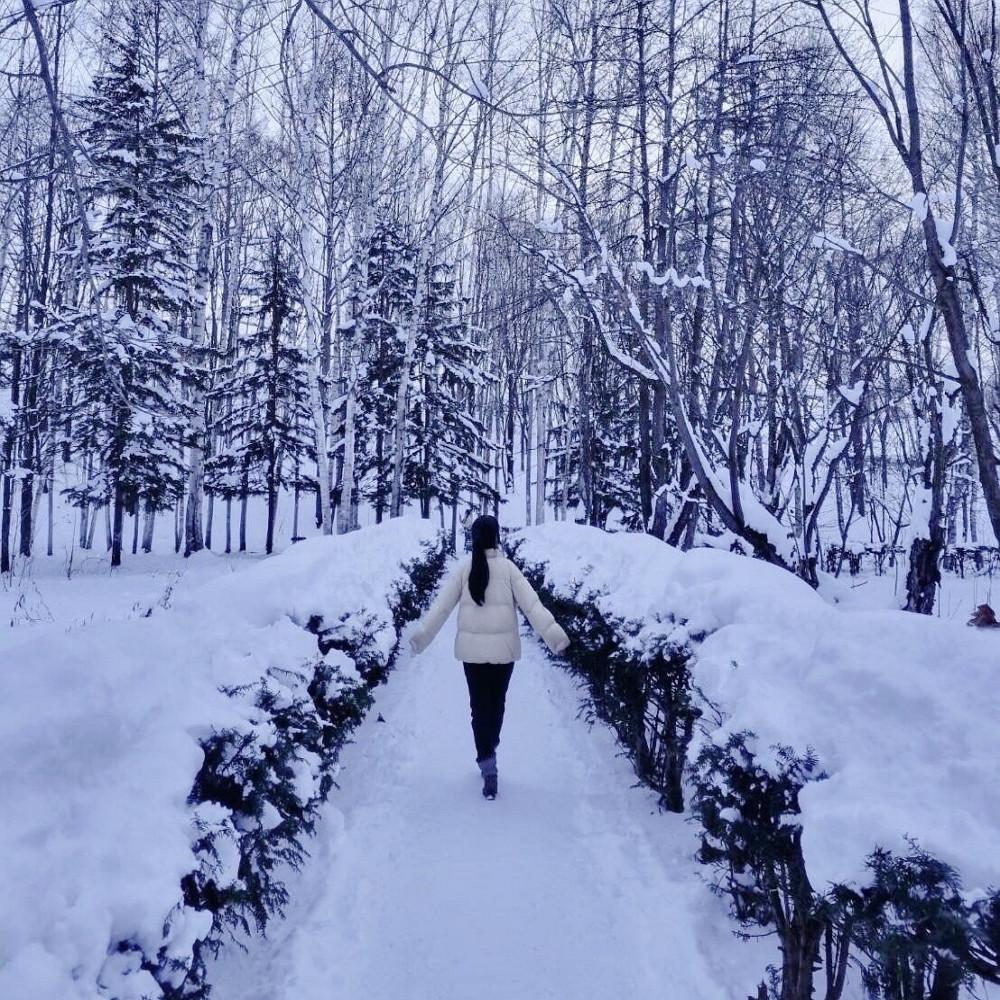 [예약동시확정 스탠다드] 삿포로 비에이 후라노 투어예약 일일 버스투어 홋카이도