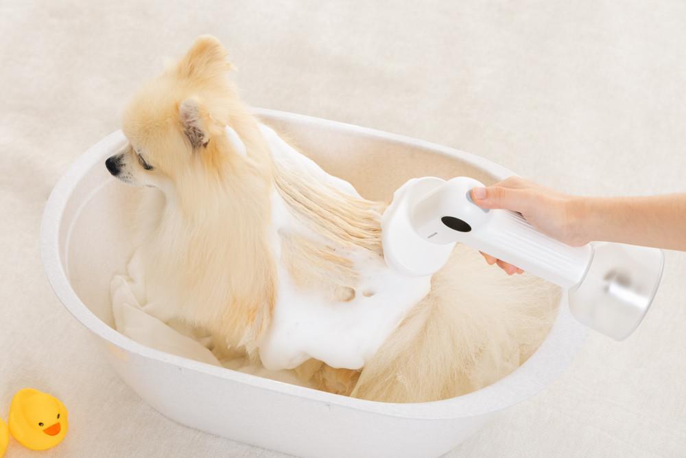 펫드리머 브러쉬목욕거품기 강아지목욕거품기 강아지목욕 고양이목욕 자동거품기 강아지목욕용품 고양이목욕용품 강아지샴푸 고양이샴푸