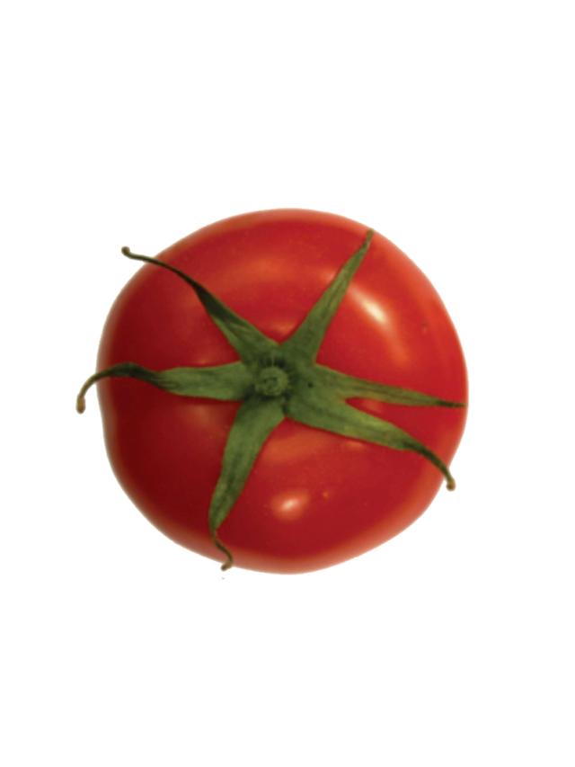 [Project 1] smart tok Tomato