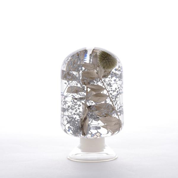 실버포레스트 Silver Forest