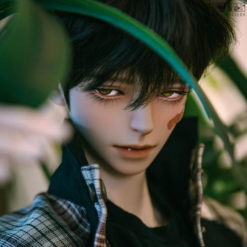 슈퍼 시니어 델프 "던\"